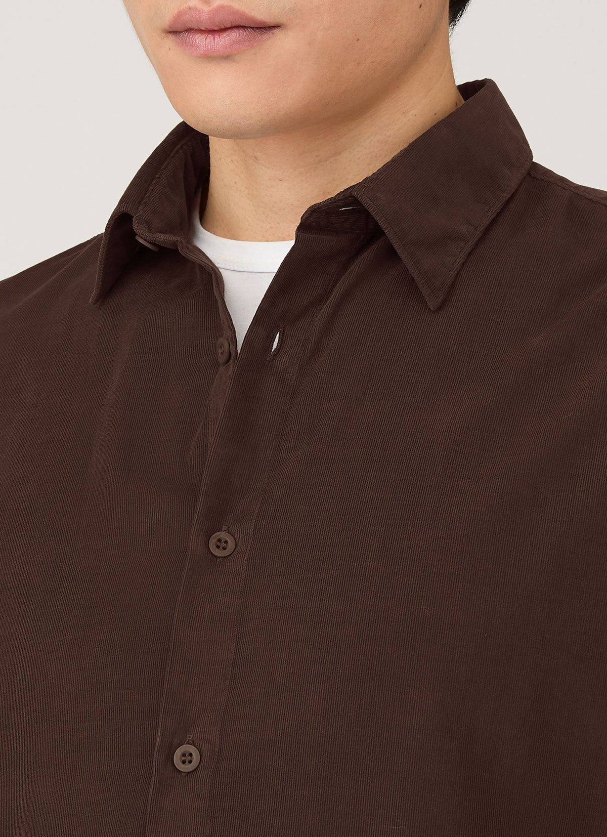 Mens Fine Cord Shirt In Truffle Msht2130 Brgd