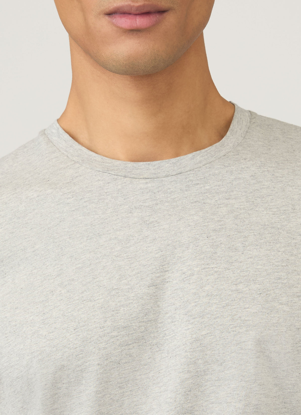 Mens Organic Cotton Tshirt In Grey Melange