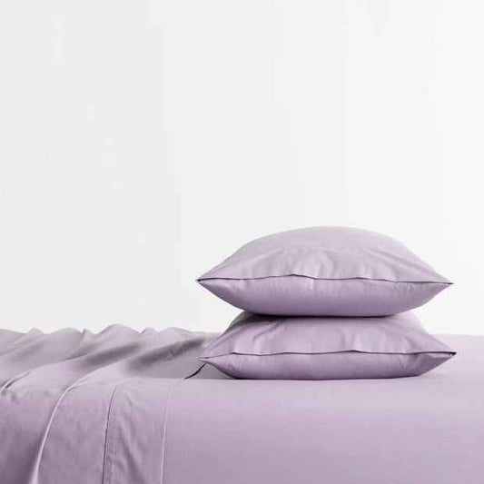 250 Thread Count Australian Cotton 2 Pack Standard Pillowcasses - Lavender