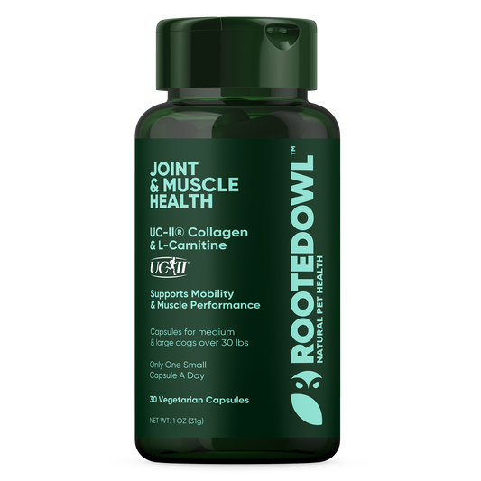 Animal And Plant Sciences Joint + Muscle Health for Medium & Large Dogs Capsules with UC-II Collagen - 30 CT 12 Pack