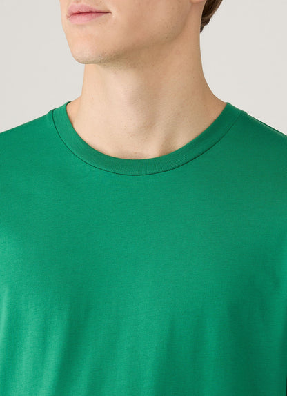 Mens Riviera Midweight Tshirt In Bright Green Mtsh0007R Gnjc