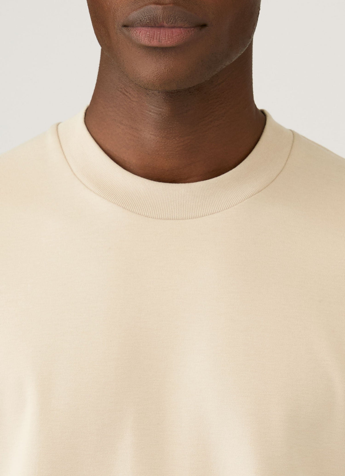 Mens Relaxed Fit Heavyweight Tshirt In Hazelwood Mtsh0181 Brgt