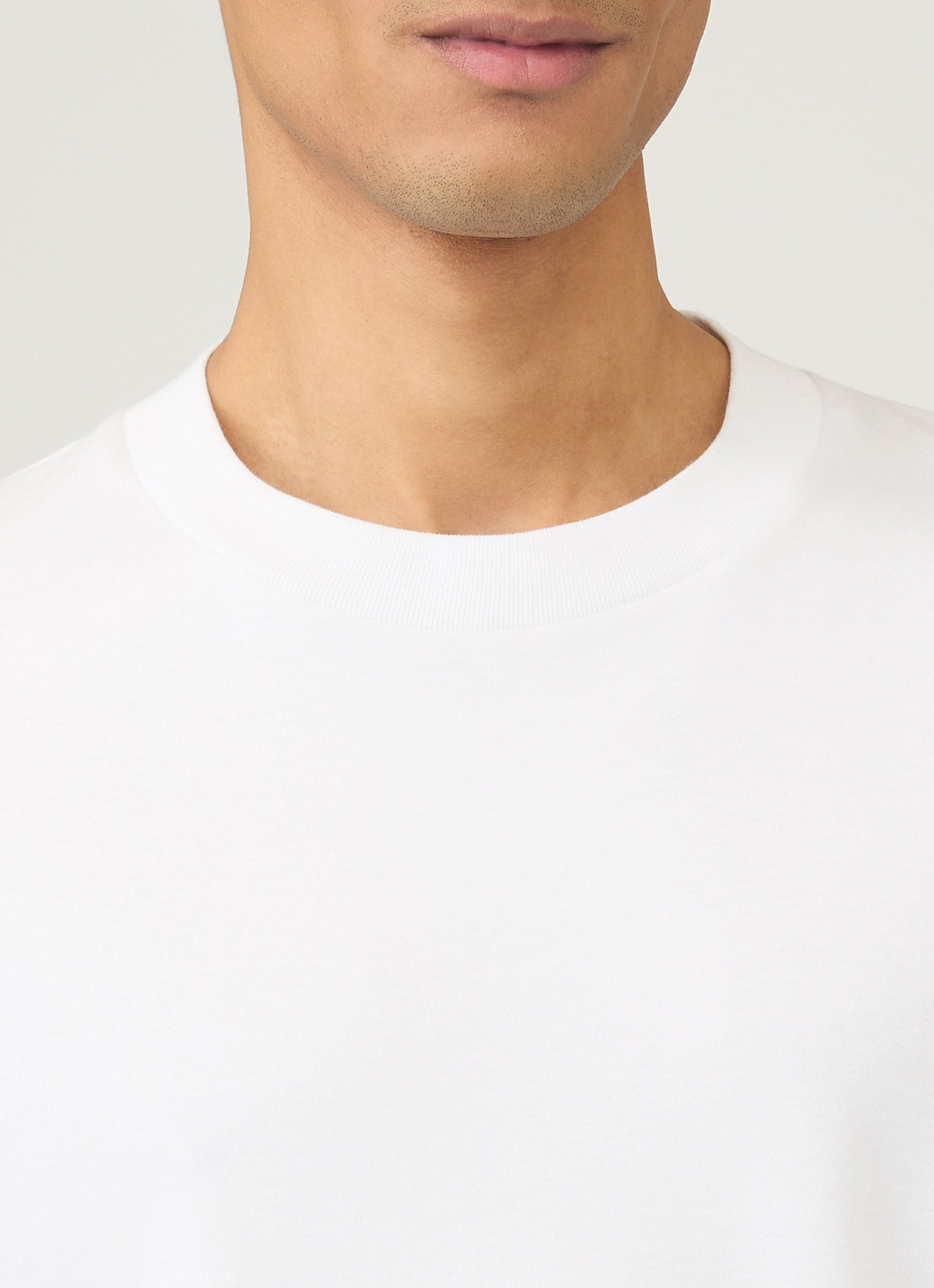 Mens Long Sleeve Heavyweight Tshirt In White Mtsh0182 Whaa