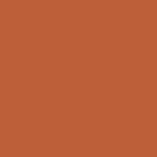 12" Texas Orange - EasyWeed EcoStretch HTV